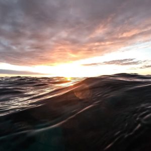 水平線に沈む夕日と、黒くうねる海の波の写真