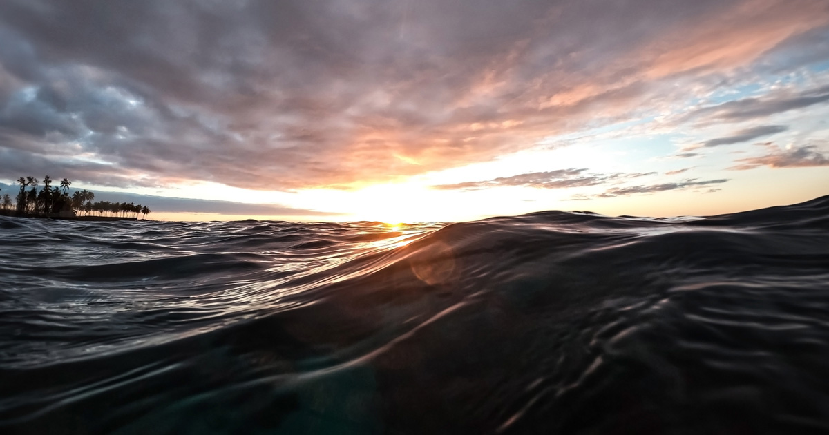 水平線に沈む夕日と、黒くうねる海の波の写真