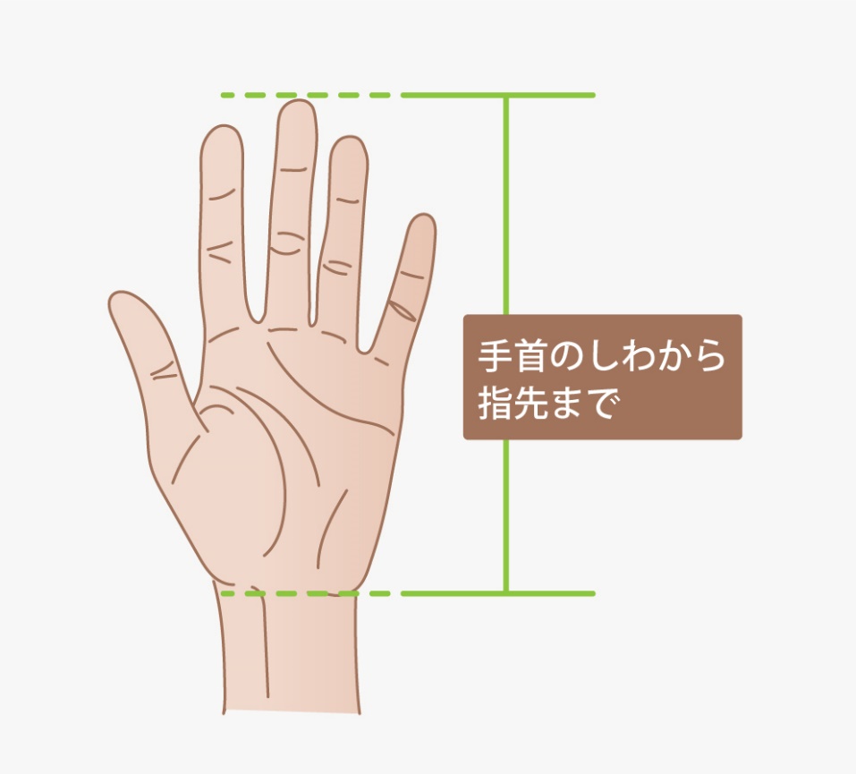 手の大きさの測り方（手首のしわから指先まで）