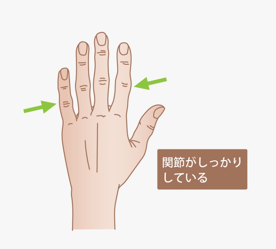 関節がしっかりしている指タイプ例