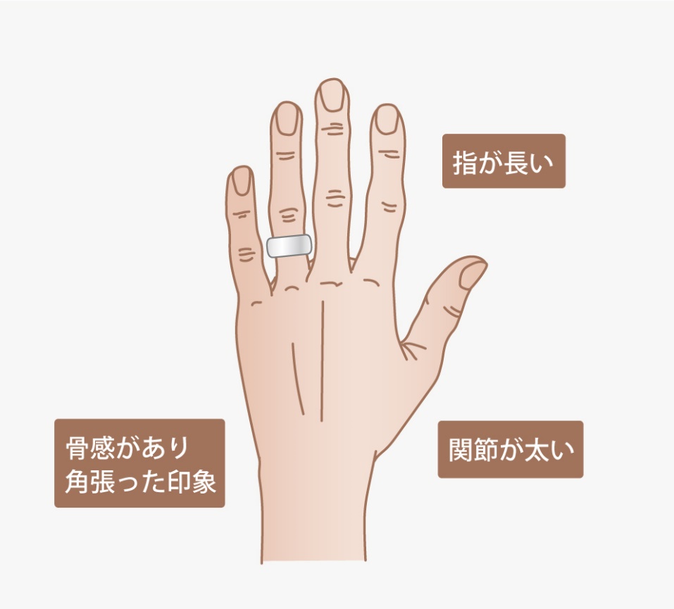 指が長く、関節が太く、骨感があり角張った印象の指タイプ例