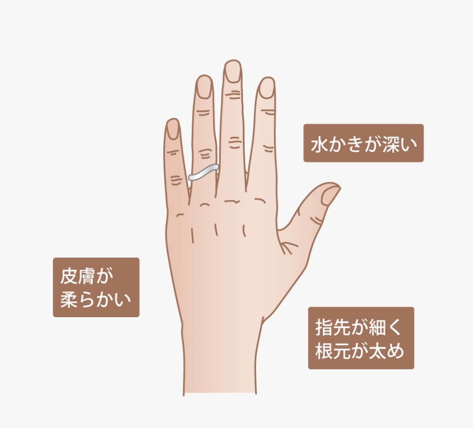 水かきが深く、指先が細く根本が太め、皮膚が柔らかいタイプの例