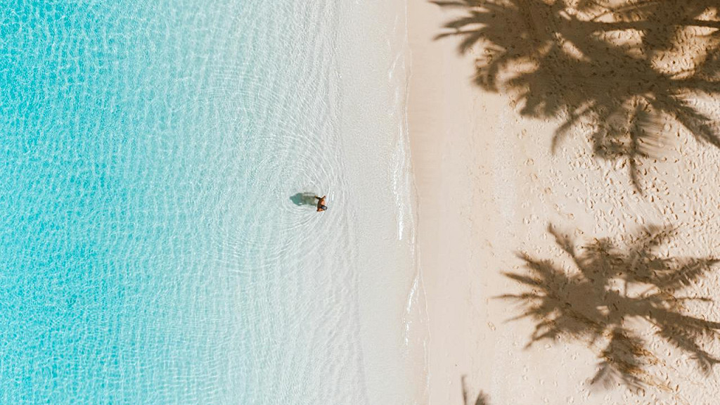 ハワイの透き通る浅瀬とヤシの木の陰が映るビーチの空撮写真。ハワイアンジュエリーが生まれた南国の自然を象徴するイメージ