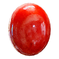 3月の誕生石、珊瑚(さんご)のルース。