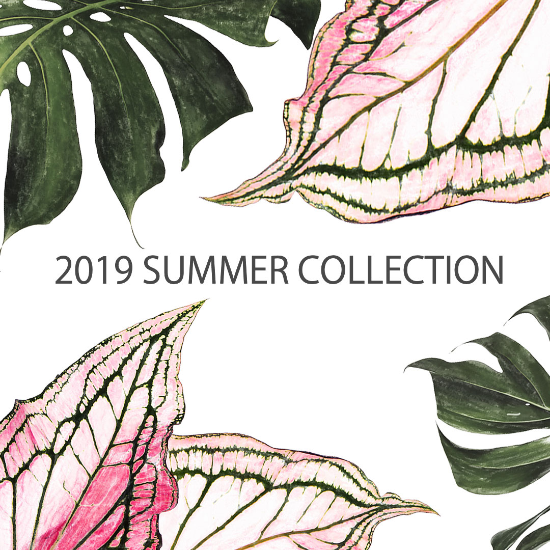 2019summer_collection