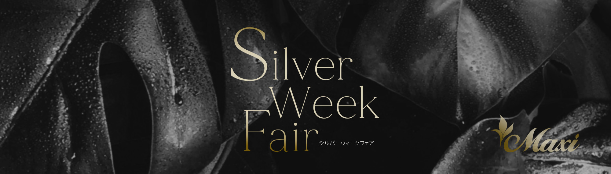 Silver week fair