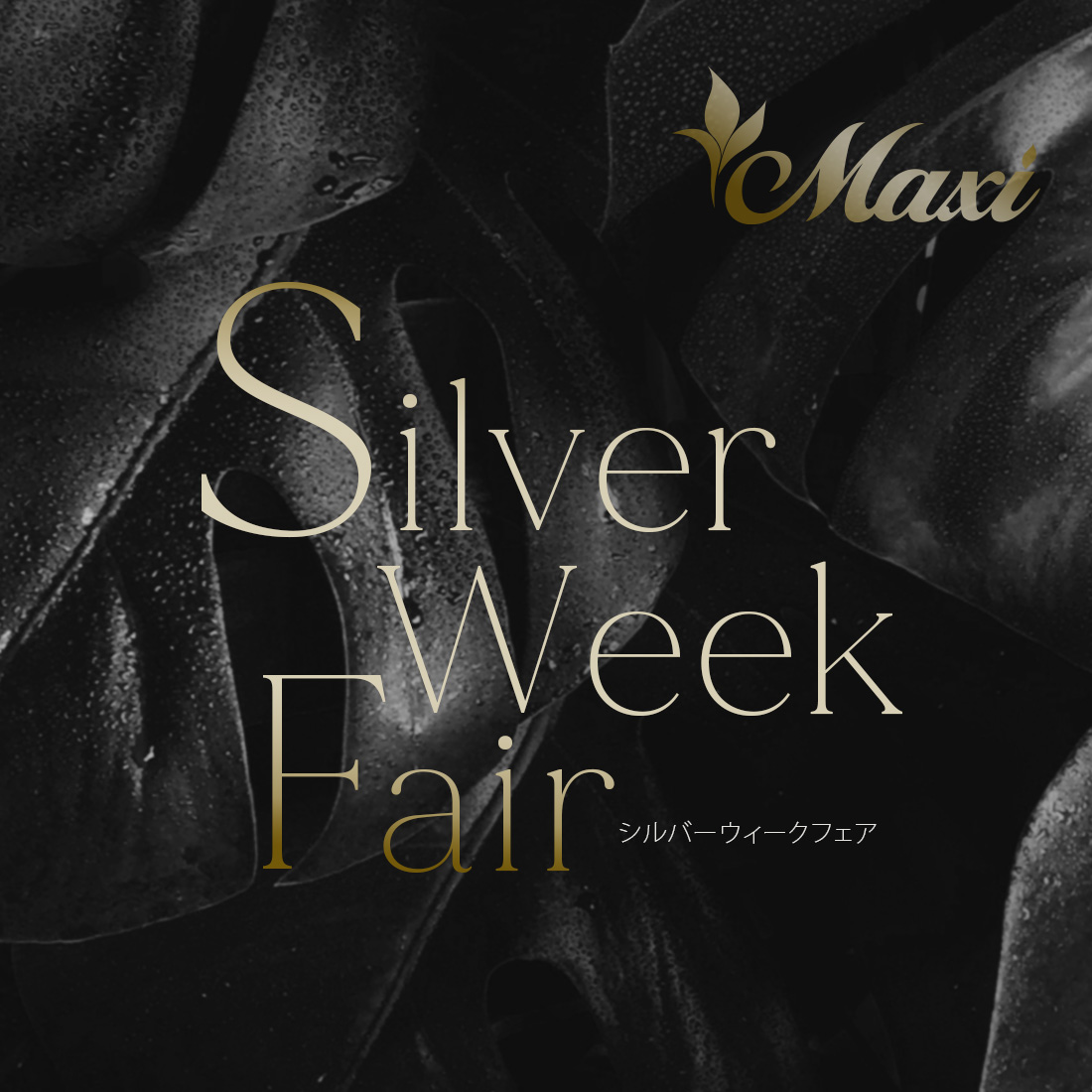 Silver week fair