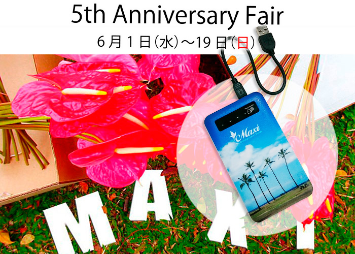 5th Anniversary Fair