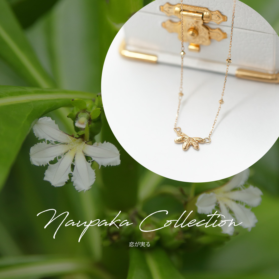 Naupaka Collection