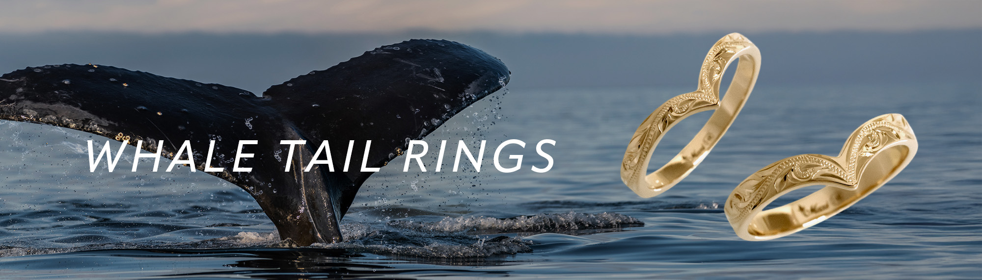 whale tail rings