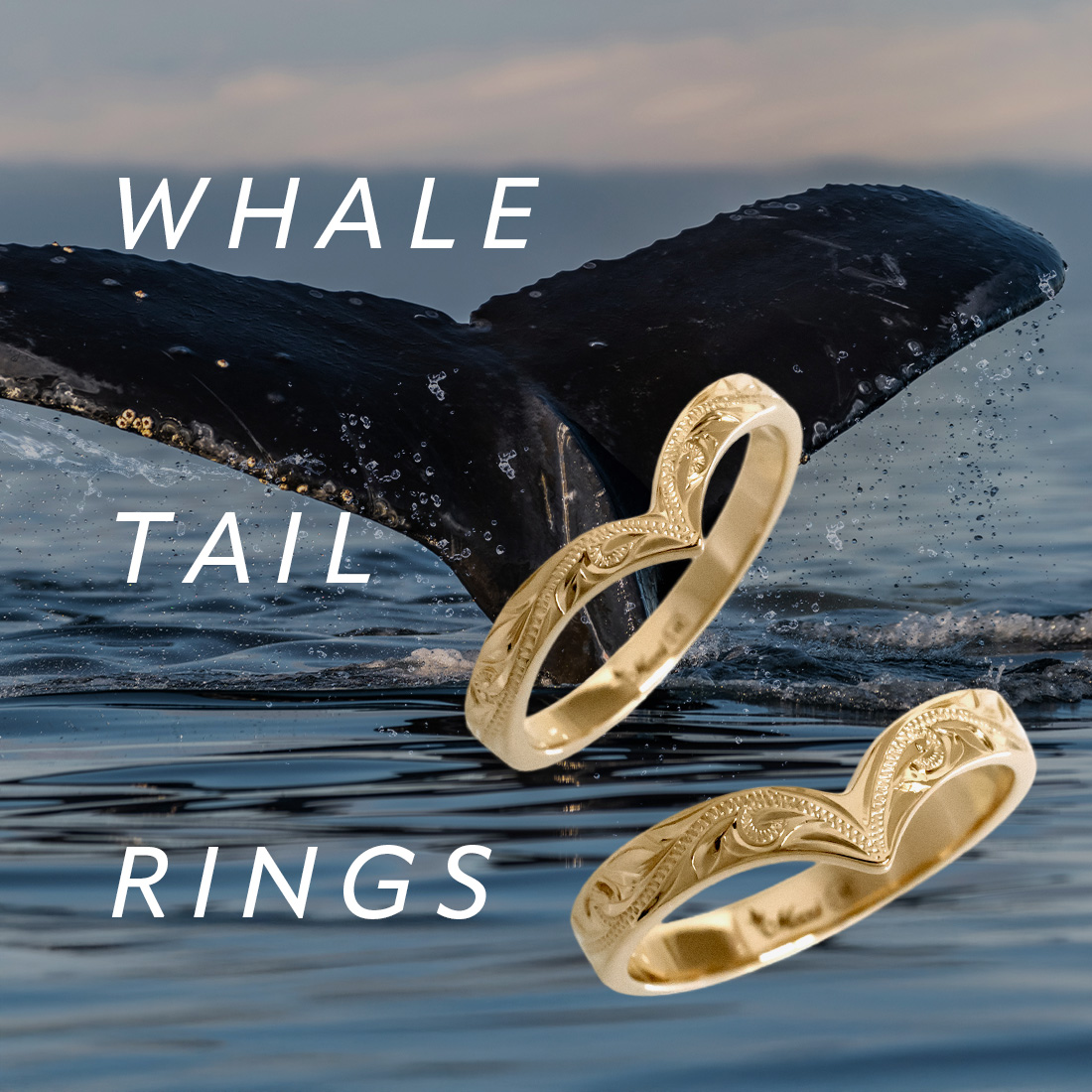 whale tail rings