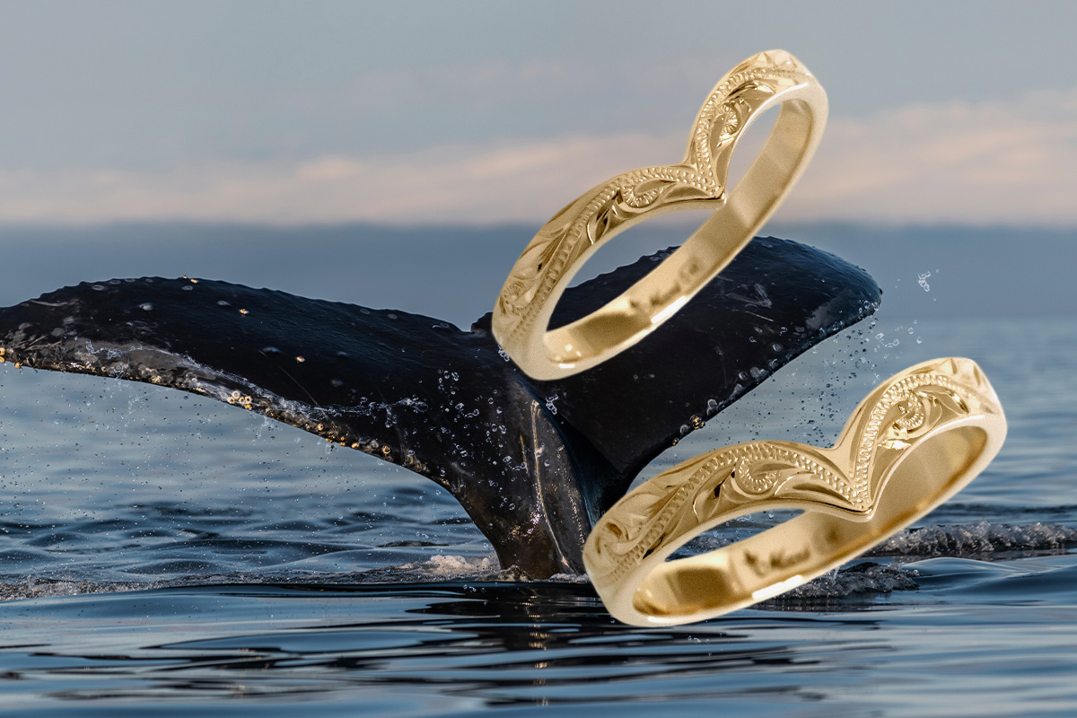 Maxi whale tail rings